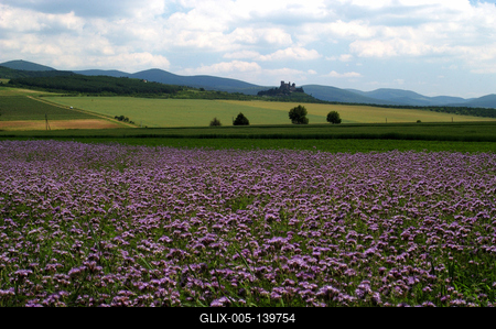 Zempléni táj Boldogkőváralja határában-stock-foto