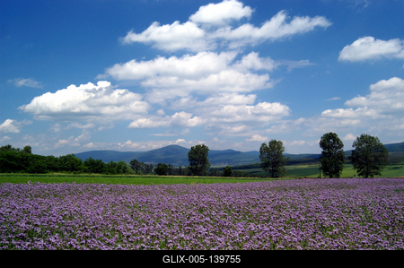 Zempléni táj Boldogkőváralja határában-stock-foto