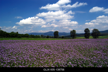Zempléni táj Boldogkőváralja határában-stock-foto
