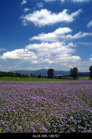 Zempléni táj Boldogkőváralja határában-stock-foto