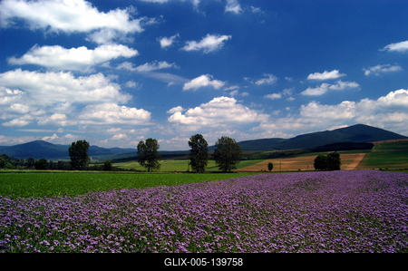 Zempléni táj Boldogkőváralja határában-stock-foto
