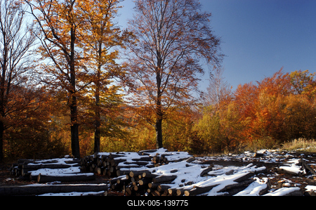 Őszi erdő a Mátrában-stock-foto