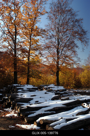 Őszi erdő a Mátrában-stock-foto