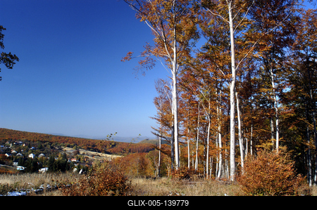 Őszi erdő a Mátrában-stock-foto