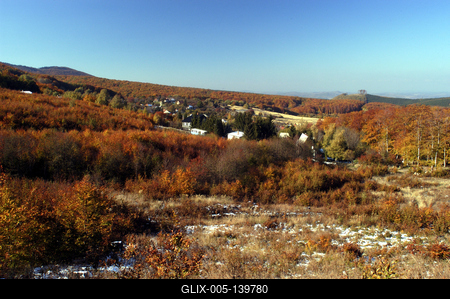 Őszi erdő a Mátrában-stock-foto