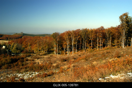 Őszi erdő a Mátrában-stock-foto