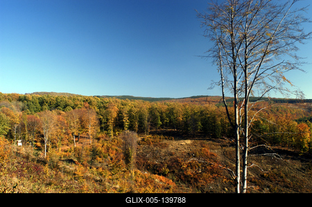Őszi erdő a Mátrában-stock-foto
