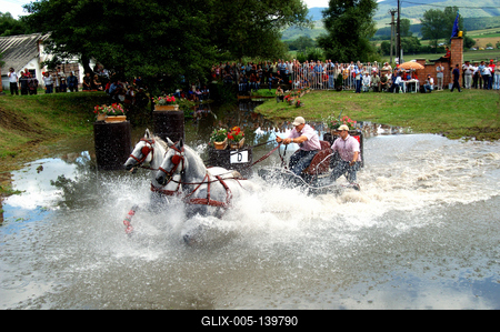 Fogathajtó verseny Szilvásváradon-stock-foto