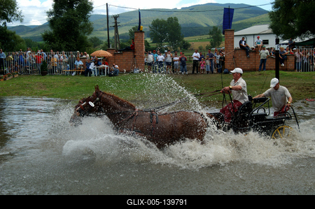 Fogathajtó verseny Szilvásváradon-stock-foto