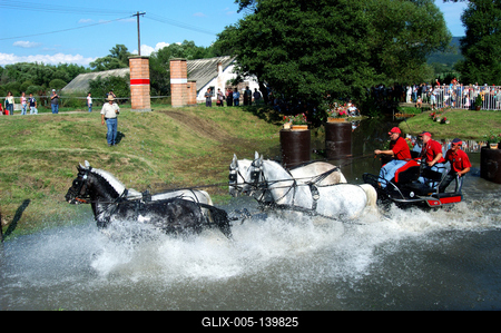 Fogathajtó verseny Szilvásváradon-stock-foto