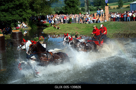 Fogathajtó verseny Szilvásváradon-stock-foto