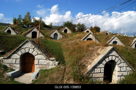 Védett pincesor Hercegkúton-stock-foto