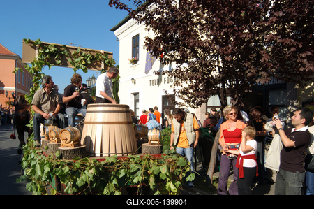 Tokaj-Hegyaljai Szüreti Napok-stock-foto