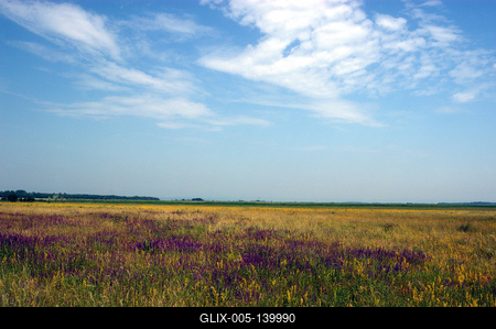 A Fertő-tó Fertőrákos határában-stock-foto