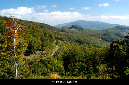 Őszi erdő a Mátrában-stock-foto