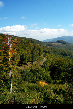 Őszi erdő a Mátrában-stock-foto
