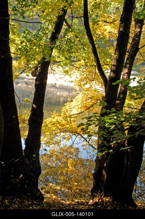 Pisztrángos tavak a Szalajka-völgyben-stock-foto