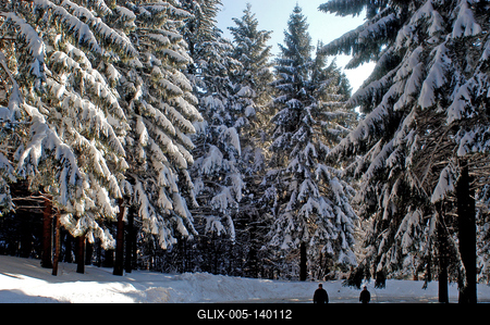 Téli táj Kékestetőn-stock-foto