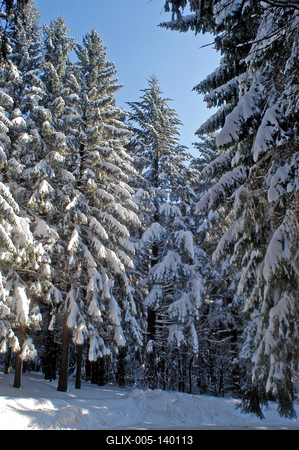 Téli táj Kékestetőn-stock-foto