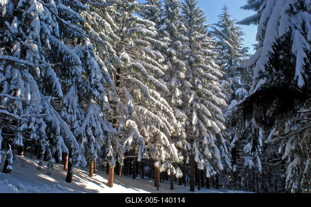 Téli táj Kékestetőn-stock-foto