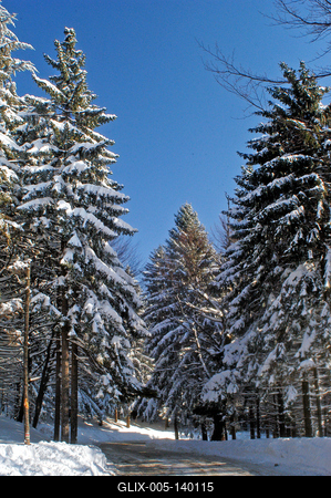 Téli táj Kékestetőn-stock-foto