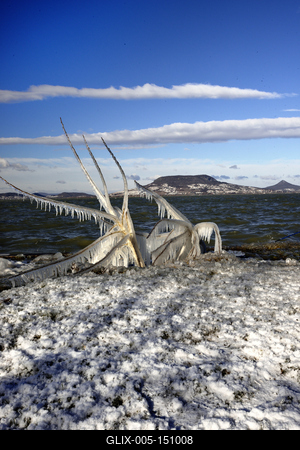 A január elején beköszöntött erõs viharos szélnek és a nagy hidegnek köszönhetõen jégben pompázik a Balaton déli partja.A növényekre és a part meletti tárgyakra ráfagy a Balaton vize és igazi jégszobrokat varázsol a természet.-stock-foto