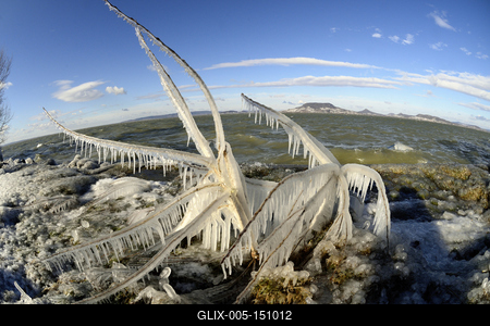 A január elején beköszöntött erõs viharos szélnek és a nagy hidegnek köszönhetõen jégben pompázik a Balaton déli partja.A növényekre és a part meletti tárgyakra ráfagy a Balaton vize és igazi jégszobrokat varázsol a természet.-stock-foto