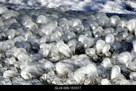 A január elején beköszöntött erõs viharos szélnek és a nagy hidegnek köszönhetõen jégben pompázik a Balaton déli partja.A növényekre és a part meletti tárgyakra ráfagy a Balaton vize és igazi jégszobrokat varázsol a természet.-stock-foto