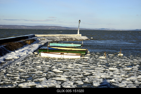 A január elején beköszöntött erõs viharos szélnek és a nagy hidegnek köszönhetõen jégben pompázik a Balaton déli partja.A növényekre és a part meletti tárgyakra ráfagy a Balaton vize és igazi jégszobrokat varázsol a természet.-stock-foto