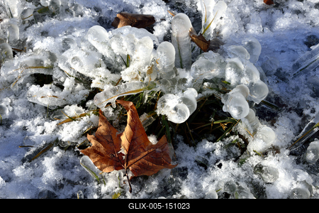 A január elején beköszöntött erõs viharos szélnek és a nagy hidegnek köszönhetõen jégben pompázik a Balaton déli partja.A növényekre és a part meletti tárgyakra ráfagy a Balaton vize és igazi jégszobrokat varázsol a természet.-stock-foto