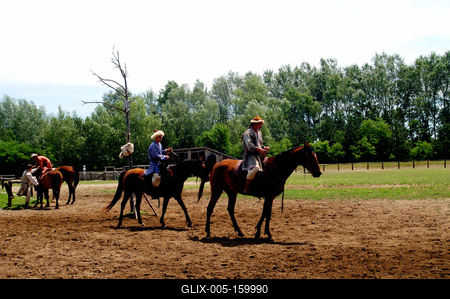 Lovasbemutató Ópusztaszeren-stock-foto