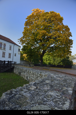 A Rákóczi vár Sárospatakon-stock-foto