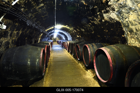 A Rákóczi pince Tokajban-stock-foto