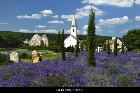 Levendárium Dörgicsén-stock-foto