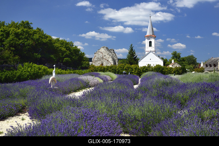 Levendárium Dörgicsén-stock-foto