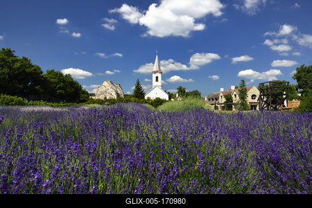 Levendárium Dörgicsén-stock-foto