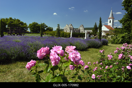 Levendárium Dörgicsén-stock-foto