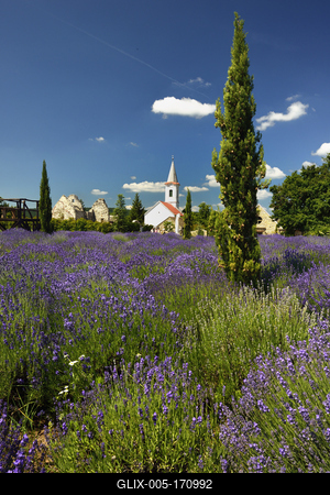 Levendárium Dörgicsén-stock-foto
