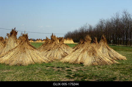 Homokbuckák Fülöpháza határában. A Homokhátság buckavonulatai csak néhány tíz méterrel magasodnak a Duna és Tisza-völgy fölé. A homokterületek az Õs-Duna hordalékkúpjainak maradványa. A szinte érintetlen állapotban levõ homokbuckás-stock-foto