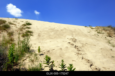 Homokbuckák Fülöpháza határában. A Homokhátság buckavonulatai csak néhány tíz méterrel magasodnak a Duna és Tisza-völgy fölé. A homokterületek az Õs-Duna hordalékkúpjainak maradványa. A szinte érintetlen állapotban levõ homokbuckás-stock-foto