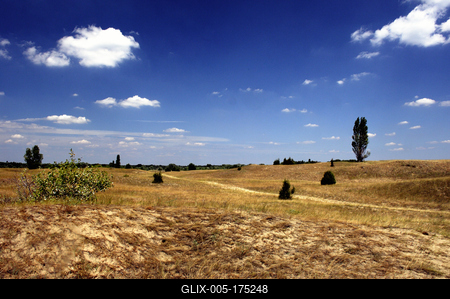 Homokbuckák Fülöpháza határában. A Homokhátság buckavonulatai csak néhány tíz méterrel magasodnak a Duna és Tisza-völgy fölé. A homokterületek az Õs-Duna hordalékkúpjainak maradványa. A szinte érintetlen állapotban levõ homokbuckás-stock-foto