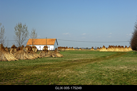 Homokbuckák Fülöpháza határában. A Homokhátság buckavonulatai csak néhány tíz méterrel magasodnak a Duna és Tisza-völgy fölé. A homokterületek az Õs-Duna hordalékkúpjainak maradványa. A szinte érintetlen állapotban levõ homokbuckás-stock-foto