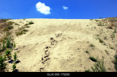 Homokbuckák Fülöpháza határában. A Homokhátság buckavonulatai csak néhány tíz méterrel magasodnak a Duna és Tisza-völgy fölé. A homokterületek az Õs-Duna hordalékkúpjainak maradványa. A szinte érintetlen állapotban levõ homokbuckás-stock-foto