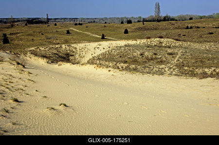 Homokbuckák Fülöpháza határában. A Homokhátság buckavonulatai csak néhány tíz méterrel magasodnak a Duna és Tisza-völgy fölé. A homokterületek az Õs-Duna hordalékkúpjainak maradványa. A szinte érintetlen állapotban levõ homokbuckás-stock-foto