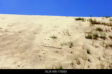 Homokbuckák Fülöpháza határában. A Homokhátság buckavonulatai csak néhány tíz méterrel magasodnak a Duna és Tisza-völgy fölé. A homokterületek az Õs-Duna hordalékkúpjainak maradványa. A szinte érintetlen állapotban levõ homokbuckás-stock-foto
