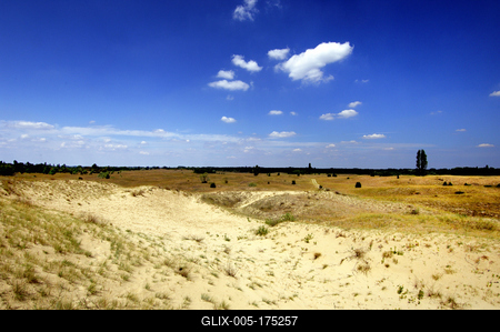 Homokbuckák Fülöpháza határában. A Homokhátság buckavonulatai csak néhány tíz méterrel magasodnak a Duna és Tisza-völgy fölé. A homokterületek az Õs-Duna hordalékkúpjainak maradványa. A szinte érintetlen állapotban levõ homokbuckás-stock-foto