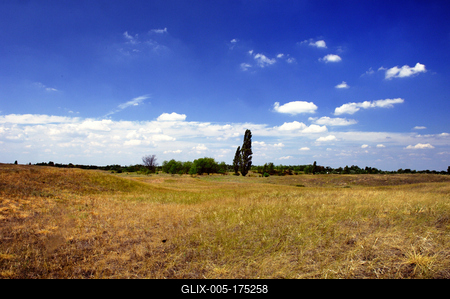 Homokbuckák Fülöpháza határában. A Homokhátság buckavonulatai csak néhány tíz méterrel magasodnak a Duna és Tisza-völgy fölé. A homokterületek az Õs-Duna hordalékkúpjainak maradványa. A szinte érintetlen állapotban levõ homokbuckás-stock-foto