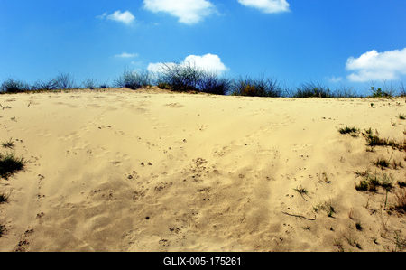 Homokbuckák Fülöpháza határában. A Homokhátság buckavonulatai csak néhány tíz méterrel magasodnak a Duna és Tisza-völgy fölé. A homokterületek az Õs-Duna hordalékkúpjainak maradványa. A szinte érintetlen állapotban levõ homokbuckás-stock-foto