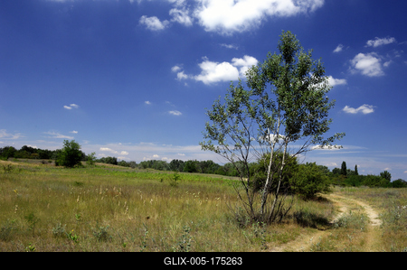 Homokbuckák Fülöpháza határában. A Homokhátság buckavonulatai csak néhány tíz méterrel magasodnak a Duna és Tisza-völgy fölé. A homokterületek az Õs-Duna hordalékkúpjainak maradványa. A szinte érintetlen állapotban levõ homokbuckás-stock-foto