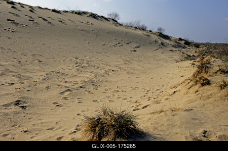 Homokbuckák Fülöpháza határában. A Homokhátság buckavonulatai csak néhány tíz méterrel magasodnak a Duna és Tisza-völgy fölé. A homokterületek az Õs-Duna hordalékkúpjainak maradványa. A szinte érintetlen állapotban levõ homokbuckás-stock-foto